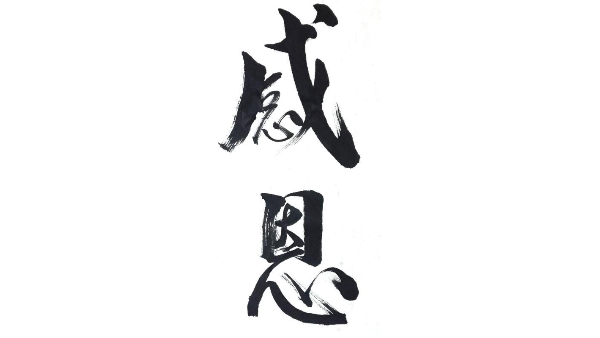 【分享】上银蜜桃视频在线观看视频在哪里可以下载3D图